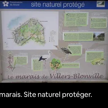 Super Deauville * 滨海维莱