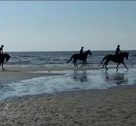 Super Deauville